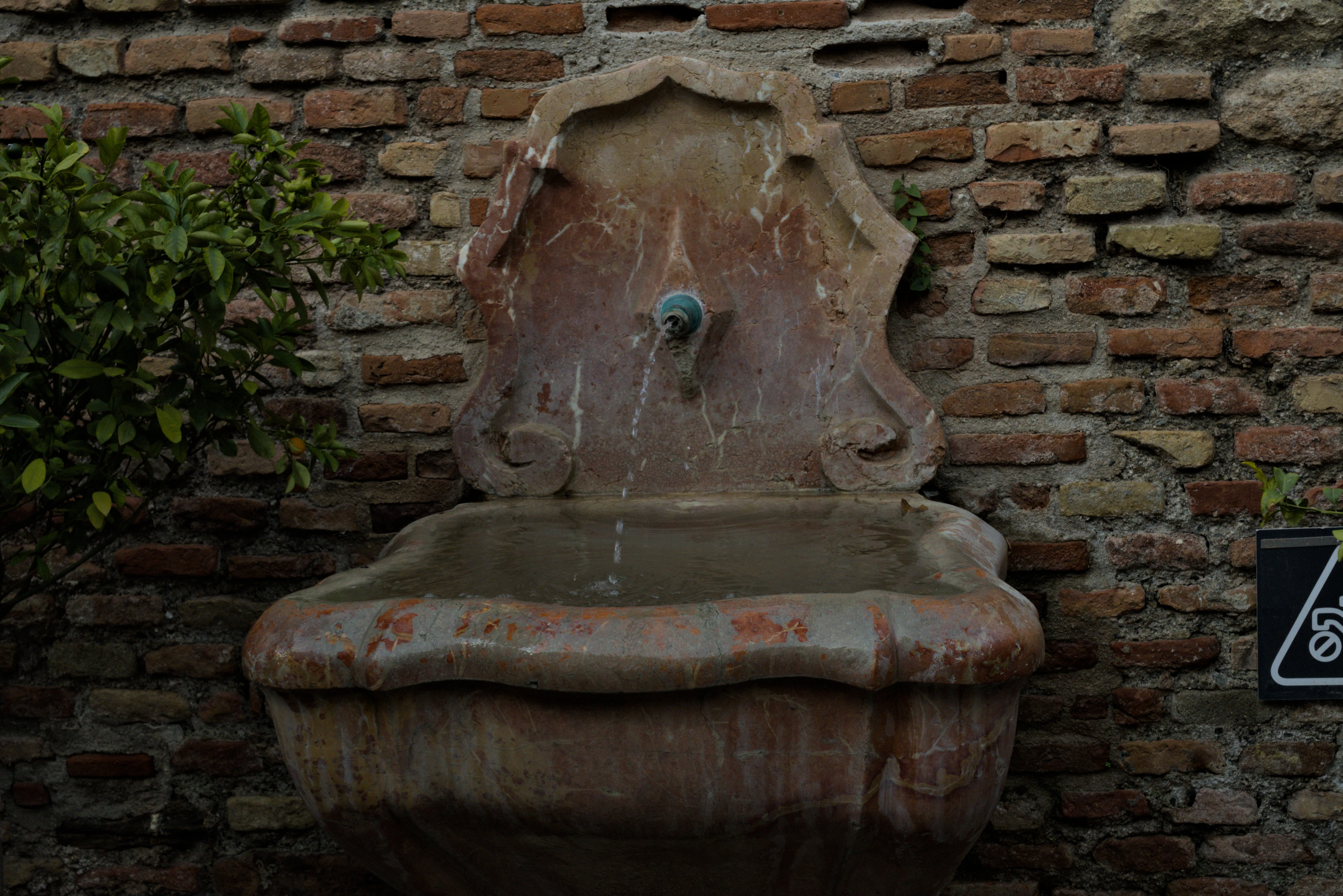 Meyer-Optik Görlitz Primagon 35mm f4.5 (M42) - _I4A7338.webp